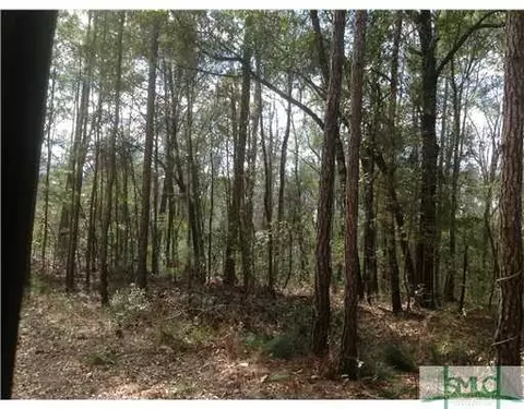 439 Reiser Rd, Springfield, GA 31329 photo 3