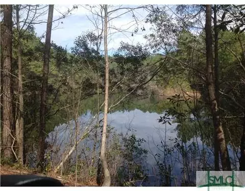 439 Reiser Rd, Springfield, GA 31329 photo 1