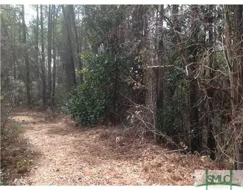 439 Reiser Rd, Springfield, GA 31329 photo 7