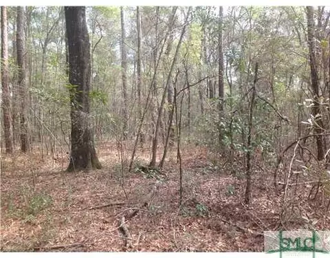 439 Reiser Rd, Springfield, GA 31329 photo 5