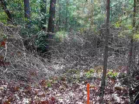 tbd Plank Rd, Cameron, NC 28326 photo 1