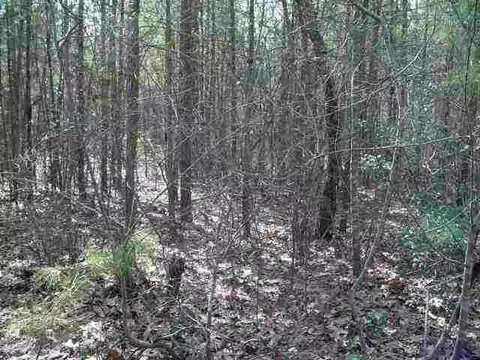 tbd Plank Rd, Cameron, NC 28326 photo 2