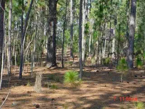 30 Prestonfield Dr, Pinehurst, NC 28374 photo 2