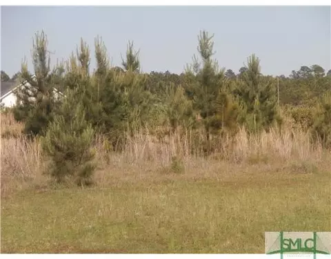 115 Rogers Drs, Rincon, GA 31326 photo 1