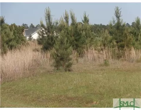 115 Rogers Drs, Rincon, GA 31326 photo 4