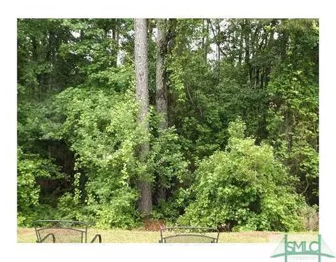234 Silver Brook Cir, Pooler, GA 31322 photo 11