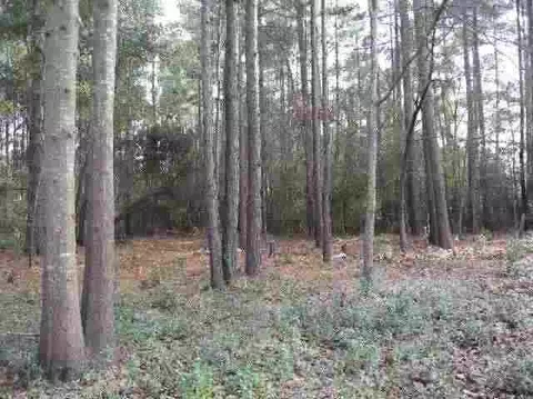 180 Dundee Rd, Pinehurst, NC 28374 photo 1