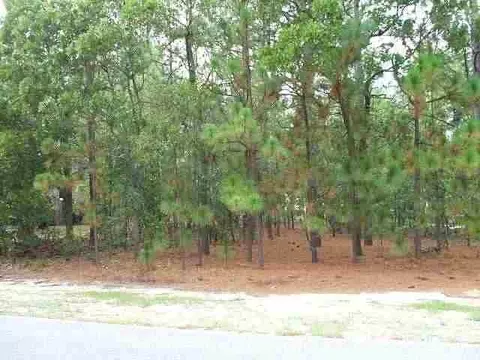 235 Longleaf Dr, Pinehurst, NC 28374 photo 3
