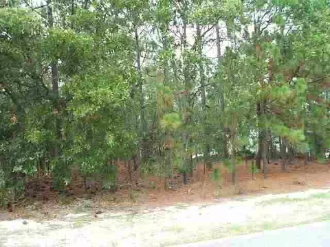 235 Longleaf Dr, Pinehurst, NC 28374 photo 2