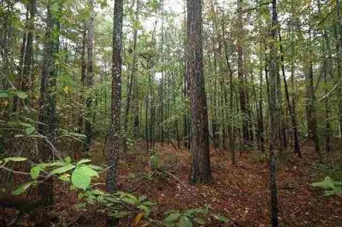 tbd Teaberry Dr, Vass, NC 28394 photo 3