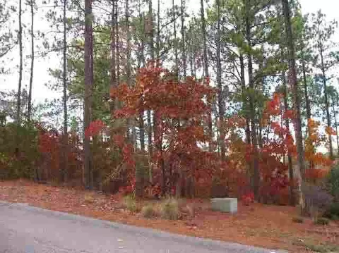 21 Aronimink Ln, Pinehurst, NC 28374 photo 2