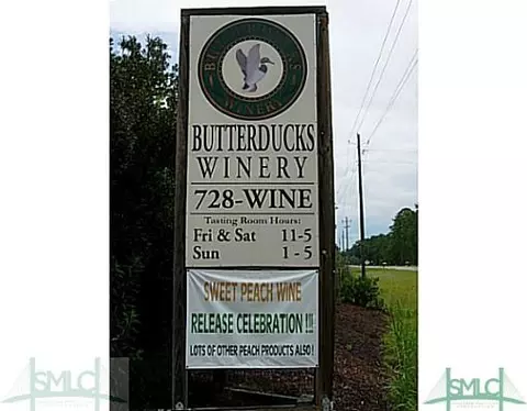 106 Old Mill Rd, Guyton, GA 31312 photo 10