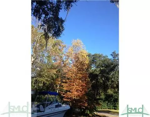 Undisclosed, Guyton, GA 31312 photo 1