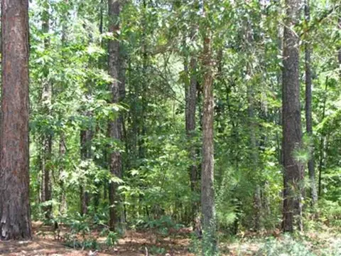 29 Stoneykirk Dr, Pinehurst, NC 28374 photo 2