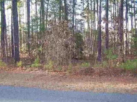 14 Hobkirk Ct, Pinehurst, NC 28374 photo 3