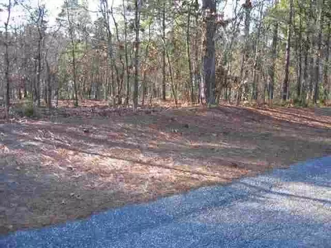 13 Minikahada Trl, Pinehurst, NC 28374 photo 5