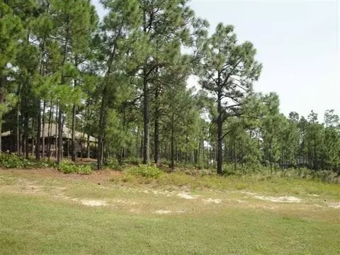 56 Stoneykirk Dr, Pinehurst, NC 28374 photo 4