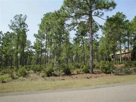 56 Stoneykirk Dr, Pinehurst, NC 28374 photo 3