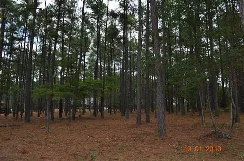 25 Greyabbey Dr, Pinehurst, NC 28374 photo 7