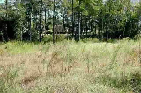 tbd Brookridge Dr, Cameron, NC 28326 photo 1