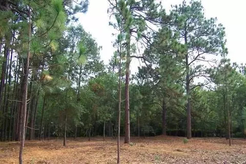 3 Wicker Ln, Pinehurst, NC 28374 photo 2