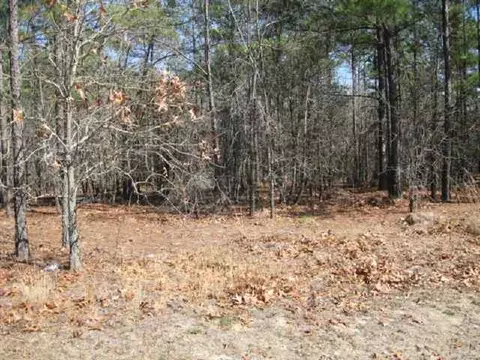 tbd Stubby Oaks Rd, Aberdeen, NC 28315 photo 4
