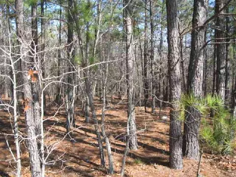 tbd Stubby Oaks Rd, Aberdeen, NC 28315 photo 7