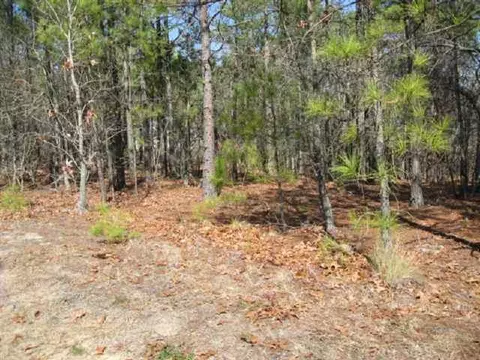 tbd Stubby Oaks Rd, Aberdeen, NC 28315 photo 6
