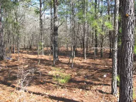 tbd Stubby Oaks Rd, Aberdeen, NC 28315 photo 2