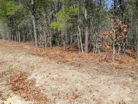 tbd Stubby Oaks Rd, Aberdeen, NC 28315 photo 3