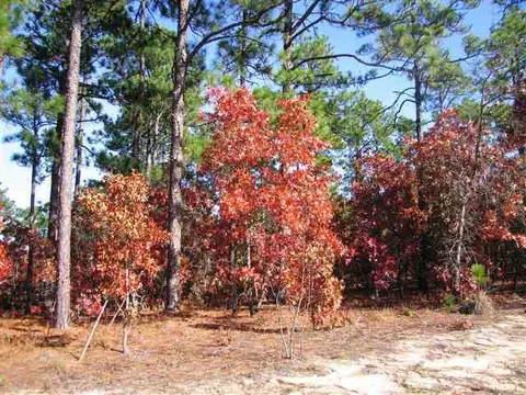 101 Sakonnet Trl, Pinehurst, NC 28374 photo 2