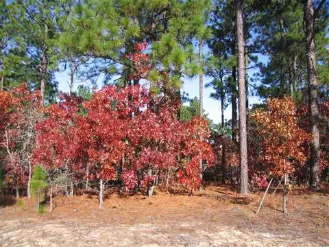 101 Sakonnet Trl, Pinehurst, NC 28374 photo 1