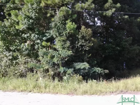 1809 Nixon Chapel Rd, Springfield, GA 31329 photo 1