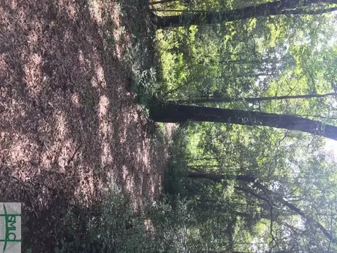 107 114 Riley Ct, Springfield, GA 31329 photo 10