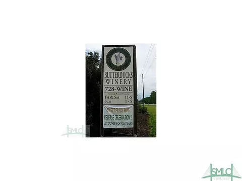 110 Old Mill Rd, Guyton, GA 31312 photo 22
