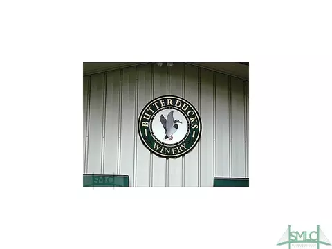 110 Old Mill Rd, Guyton, GA 31312 photo 23
