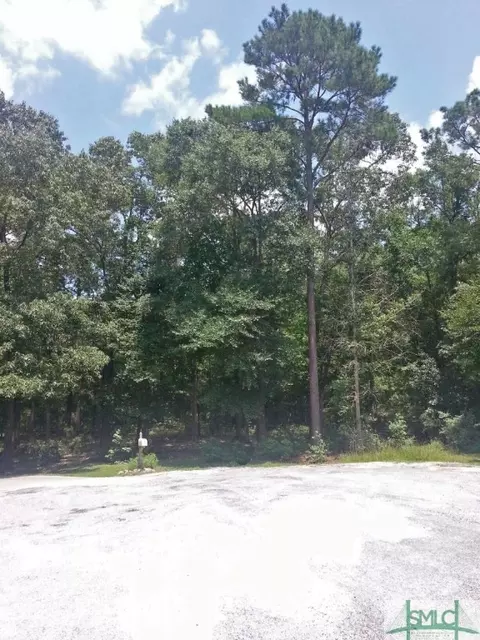 137 Runs Crossing Dr, Springfield, GA 31329 photo 2