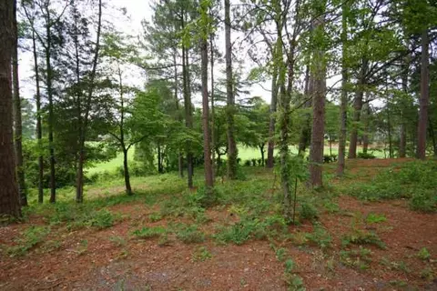 60 Burning Tree Rd, Pinehurst, NC 28374 photo 5