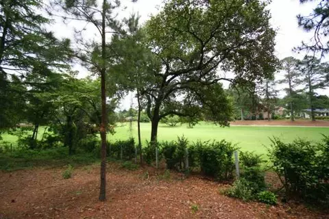 60 Burning Tree Rd, Pinehurst, NC 28374 photo 6