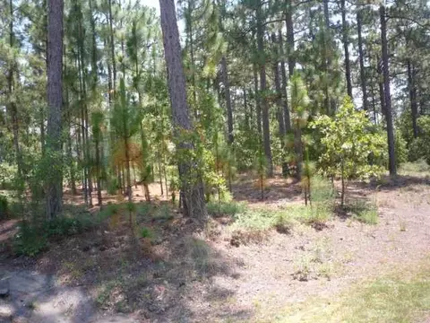 1030 NW Longleaf Dr, Pinehurst, NC 28374 photo 1
