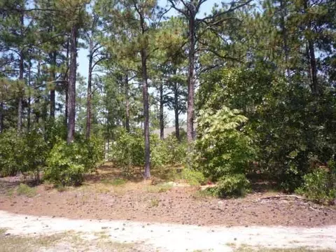 1030 NW Longleaf Dr, Pinehurst, NC 28374 photo 6