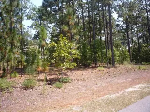 1030 NW Longleaf Dr, Pinehurst, NC 28374 photo 4
