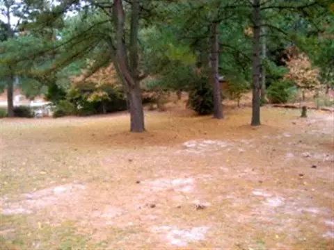 118 E Shenandoah Rd, West End, NC 27376 photo 21