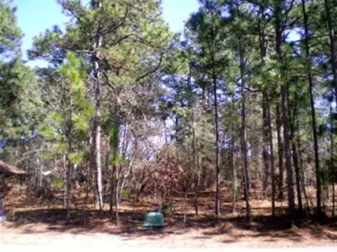 60 Thunderbird Ln, Pinehurst, NC 28374 photo 1