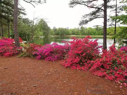 258 Firetree Ln, West End, NC 27376 photo 19