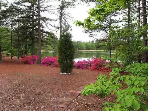 258 Firetree Ln, West End, NC 27376 photo 17