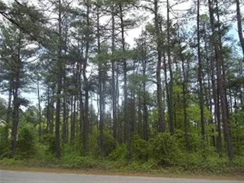 16 Cardinal Dr, Foxfire, NC 27281 photo 1