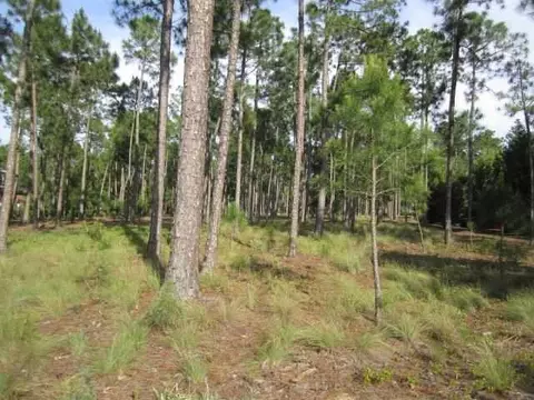 16 Glasgow Dr, Pinehurst, NC 28374 photo 8