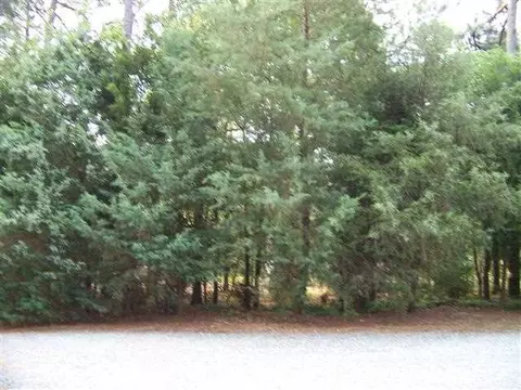 144 E Shenandoah Rd, West End, NC 27376 photo 24