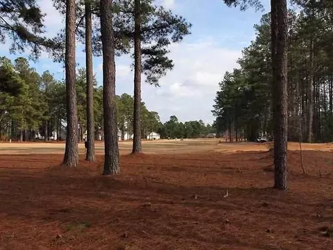 153 Laurel Oak Ln, Pinebluff, NC 28373 photo 23